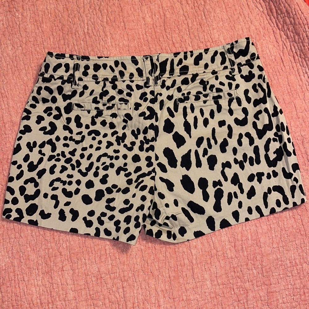 Cache shorts - Picture 4 of 6